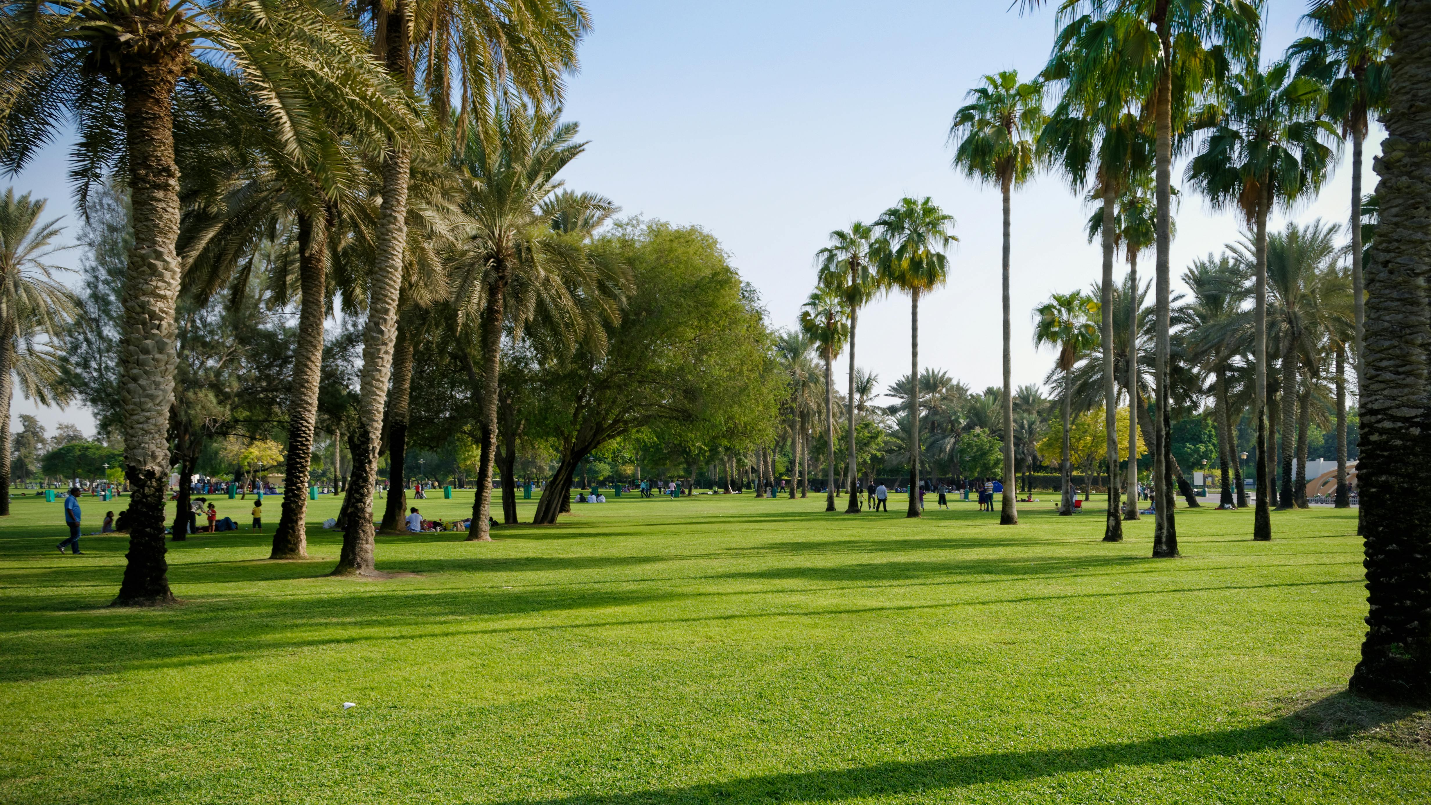 Al Safa Park